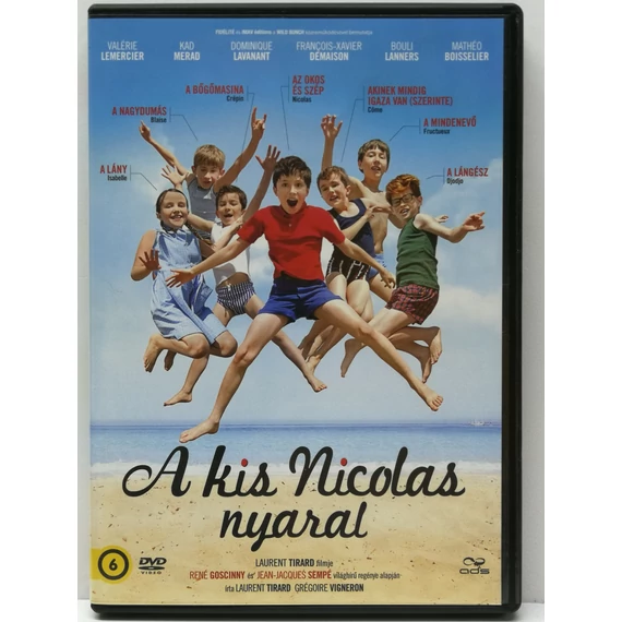 A kis Nicolas nyaral - DVD