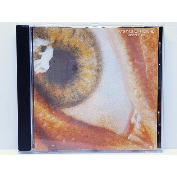 Rupert Hine - Unfinished Picture - CD | Recyclingshop.hu