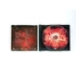Kép 3/4 - Nevergreen - Karmageddon - CD + DVD