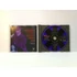 Kép 3/3 - Red Hot Chili Peppers - Out In L.A. - CD
