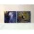 Kép 3/3 - Nevermore - Dead Heart In A Dead World - CD
