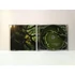 Kép 3/4 - Evanescence - Anywhere But Home - CD + DVD - CD