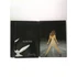 Kép 3/4 - Céline Dion - A New Day... Live In Las Vegas - 2 DVD