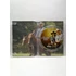 Kép 3/3 - Hosszú utazás - Britt Robertson, Scott Eastwood - DVD