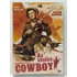 Kép 1/2 - Az utolsó cowboy - Walter Matthau, Kirk Douglas - DVD