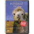 Kép 1/2 - A pityergő teve története - karcmentes DVD