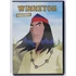 Kép 1/2 - Winnetou - Veszélyes labirintus - DVD