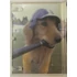 Kép 4/4 - Szájkosaras kosaras 4 - A baseballpályák réme - DVD